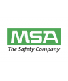 MSA